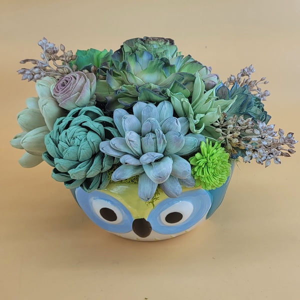 Cute Owl Wood Succulent Arrangement